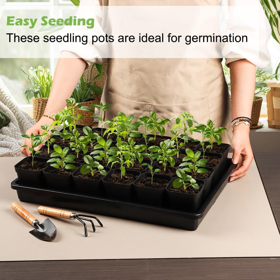 3.5 inch (9CM) Square Nursery Pots 60pcs, Sturdy Seedlings Trays 5 Pcs, Seeds Starter Germination Tray, Microgreenings Planter Nursery Propagation 5 Sets
