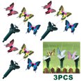 thumbnail image 1 of Jardín Mariposas Atmósfera para El (mariposa), 1 of 5