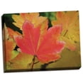 thumbnail image 2 of Gango Home Decor Maple Leaves Perfection II by Vitaly Geyman (Ready to Hang); One 24x18in Hand-Stretched Canvas, 2 of 4