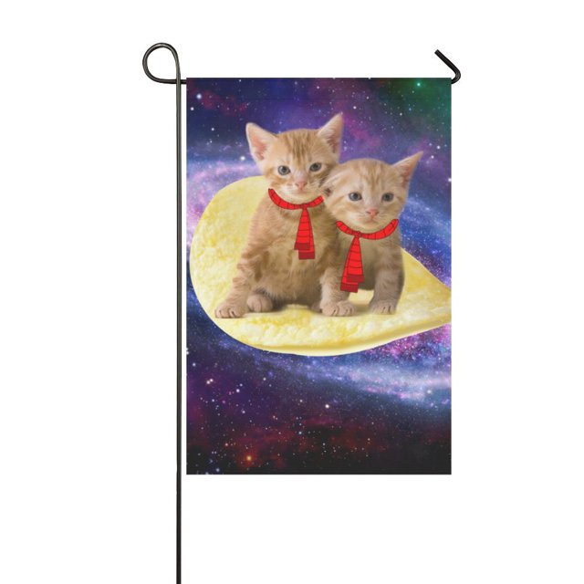 ABPHQTO Galaxy Space Cat in Pizza Surfing Garden Bandera 30x45 cm