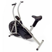 Stamina Dual-Action Air Bike