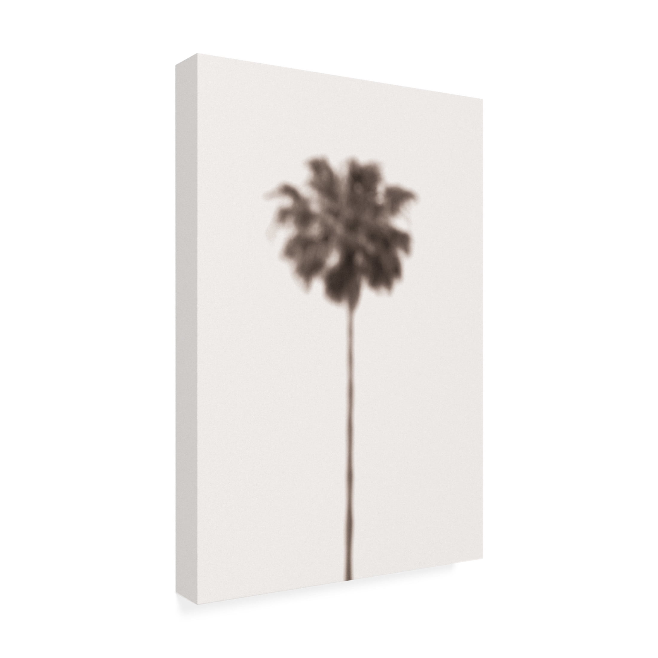Trademark Fine Art Pictufy Studio III Palm Blury Canvas Wall Art