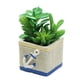 thumbnail image 1 of Simulación de bonsais suculentos, adornos creativos, flores artificiales, flores de plástico, suculentas, 1 of 5
