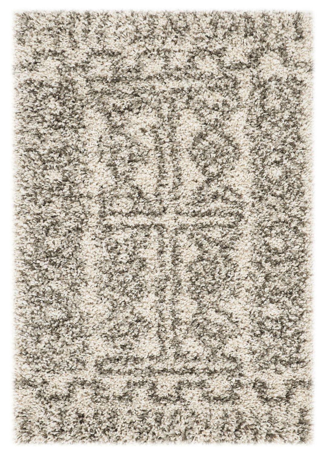 SAFAVIEH Hudson Raphael Contemporary Shag Area Rug