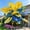 Elephant Ear-G, variant on Giant Elephant Ear Taro — The Premier Choice for Tropical Landscaping — A Gardening Essential— (Non-Artificial)-- Adds a Fresh, Natural Accent to Yards and Pathways —