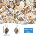 thumbnail image 2 of 1 Box 80Pcs Real 18K Gold Plated Sea Shell Charms Spiral Shell Charm Colorful Bulk Natural Summer Ocean Beach Shell Charm for DIY Jewelry Making Charms Diy Crafting Necklace Bracelet Keychain, 2 of 6