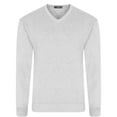 thumbnail image 1 of CastlePoint Mens Knitted V Neck Jumper, 1 of 5