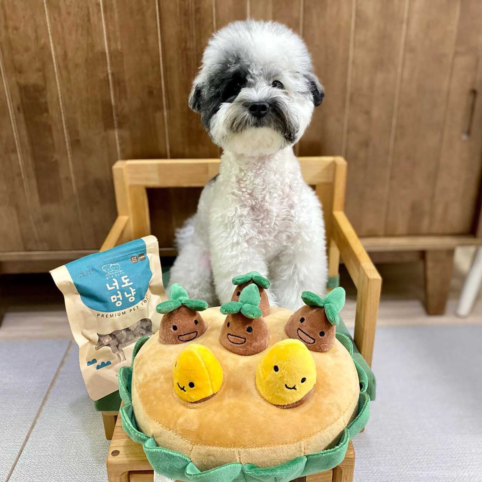 Pet for Dogs Interactive Dog Feeding Mat Puzzle Toy Nosework Sniffing Pad Training Smell Slow Feeder