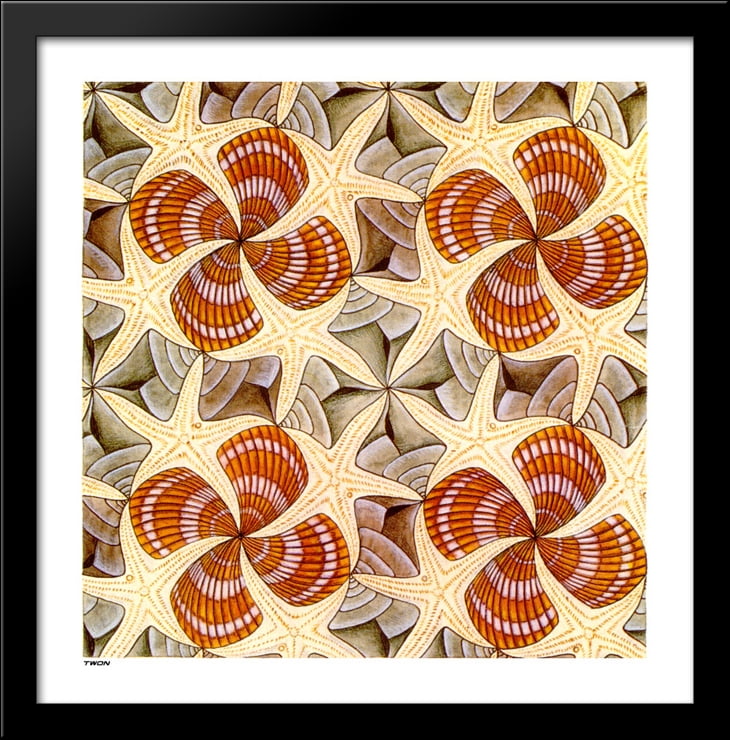 Shells and Starfish 28x28 Large Black Wood Framed Print Art by M.C ...