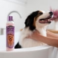 thumbnail image 3 of Set de Champú y Acondicionador para Perros Bio-Groom Blanqueador 355 ml, 3 of 6