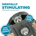 thumbnail image 4 of Outward Hound Hide A Raccoon Plush Dog Toy Puzzle, 4 of 5