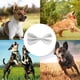 thumbnail image 5 of ? pajarita formal para perros medianos y grandes, 5 of 5