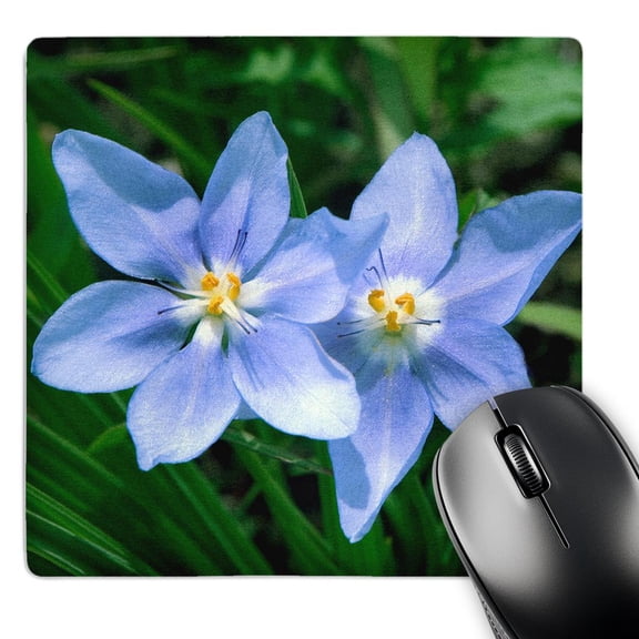 3dRose, USA, Kansas, Prairie Flower., MousePad
