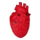thumbnail image 4 of Juguete Novedoso onlyliua para Aliviar el Estrés Forma de Corazón y Forma de órgano, 4 of 6