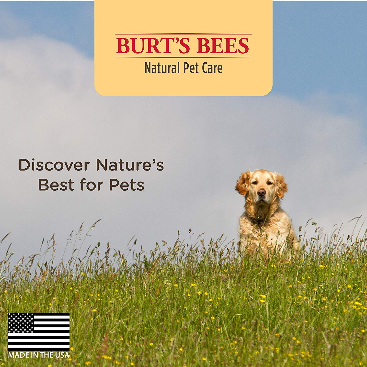 Burt s Bees Natural Pet Care Dog and Puppy Anti Itch Spray 10 oz