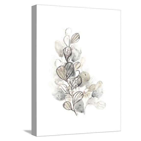 Art.com Neutral Botany II Stretched Canvas Print Wall Art by June Vess, 12" x 16"