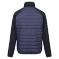 thumbnail image 2 of Regatta Veste Hybride Clumber IV pour Hommes, 2 of 7
