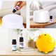 thumbnail image 4 of Aceites esenciales solubles en agua de 10 ml Aceite de aromaterapia natural puro Aroma esencial, 4 of 5