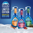 thumbnail image 2 of Dawn Powerwash Dish Spray with Pumpkin Starter Kit and Cranberry Refill, 2 of 5