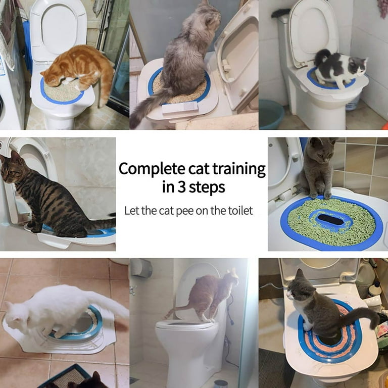 How To Teach Your Cat To Pee In The Toilet