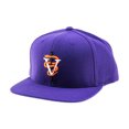 thumbnail image 1 of Black Scale Mens The VS Snake Snapback Baseball Cap, Purple, One Size, 1 of 1