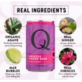 thumbnail image 6 of Q Mixers Hibiscus Ginger Beer, Premium Cocktail Mixer with Real Ingredients, 7.5 fl oz (Pack of 24), 6 of 7