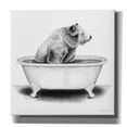 thumbnail image 1 of Epic Graffiti 'Bear in Tub' by Rachel Nieman, Canvas Wall Art, 18"x18", 1 of 3