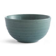 Sango Siterra Artist's Blend Stoneware Dinnerware Set, 16-piece, Sage/Blue/Gray/Cream