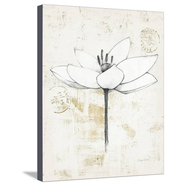 Pencil Floral I Gold Stretched Canvas Print Wall Art By Avery Tillmon Walmart Com Walmart Com