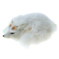 thumbnail image 1 of de modelo de animal Lowrie de nieve acostada , herramienta de aprendizaje para , adorno de decoración del hogar, colección Sunnimix Simulación Lowrie Toy, 1 of 8