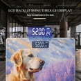 thumbnail image 3 of Bathroom Scale, Highly Accurate Digital Body Scale,Precisely Measures Weight up to 400 lbs-Golden Retriever Stands In Purple Lavender Field, 3 of 4