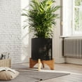thumbnail image 2 of Everett Black Mid-Century Modern Indoor Metal Pot Planter with Arch Wood Base - 18" x 14", 2 of 5