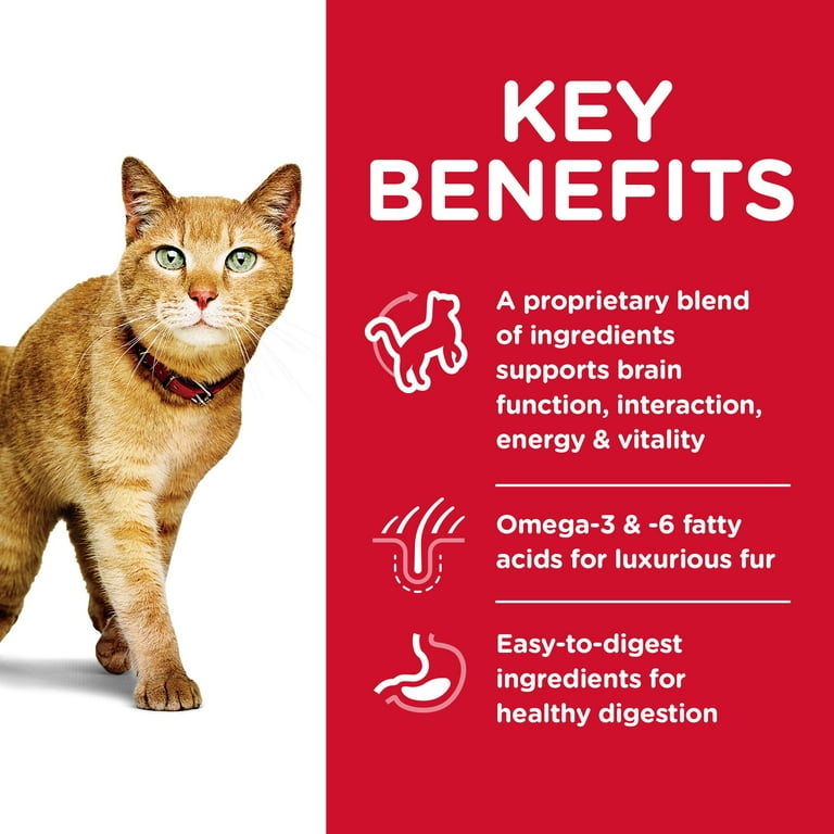 Youthful vitality cheap cat