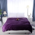 thumbnail image 1 of PiccoCasa 1 Pcs Manta de Lanzar de Microplush Suave y Cálida Sólida Color Púrpura 70" x 78", 1 of 7