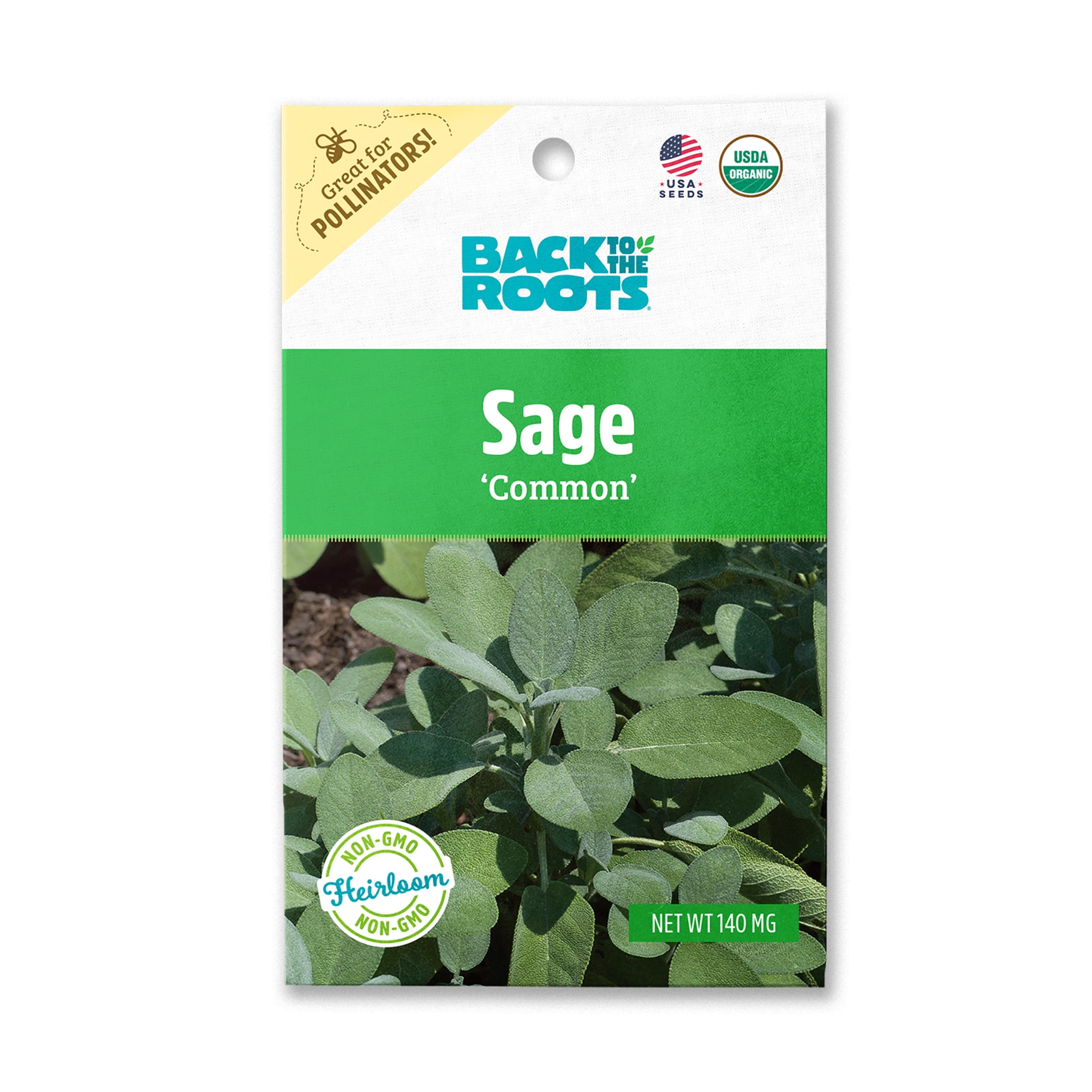 Back to the Roots Organic Common Sage Gardening Seeds, 1 Packet