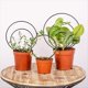 thumbnail image 4 of Juego de 3 Enrejados Redondos para Plantas de Interior para Trepar Plantas de Interior, Marcos de Metal para en Maceta, Soporte para Plantas en Macetas de Exterior, B, 4 of 5