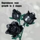 thumbnail image 2 of Set de bloques de construcción HI-REEKE Flowers Rose Bouquet 660 unidades, 2 of 7