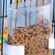 thumbnail image 3 of 2X Alimentador Transparente Colgante para Canarios, Contenedor de Almacenamiento, Cacatúa, , Bebedero para Pájaros, Comedero de Agua para Pájaros, 3 of 4