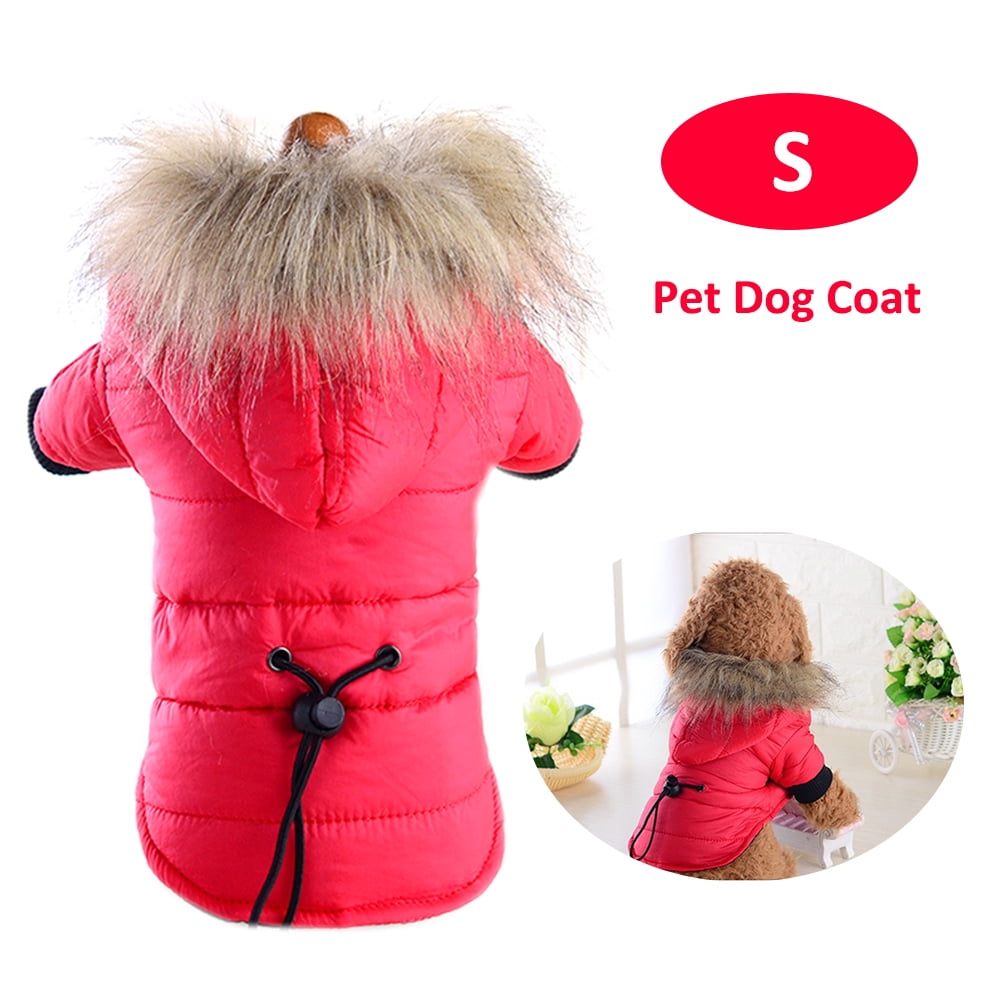 small dog jackets