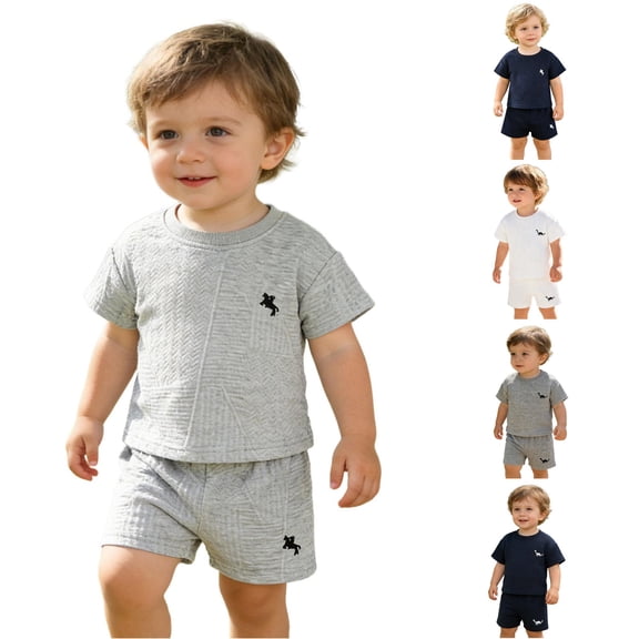 WhouRiu Boys Casual Embroidery Outfits Short Sleeve Tees And Shorts Sets Baby Summer Cute Clothes