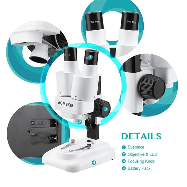 40x microscopio ajustable doble iluminación LED, microscopios compuestos mejora la Vernier, w/adaptador de teléfono para enseñanza, blanco shamjiam microscopio biológico