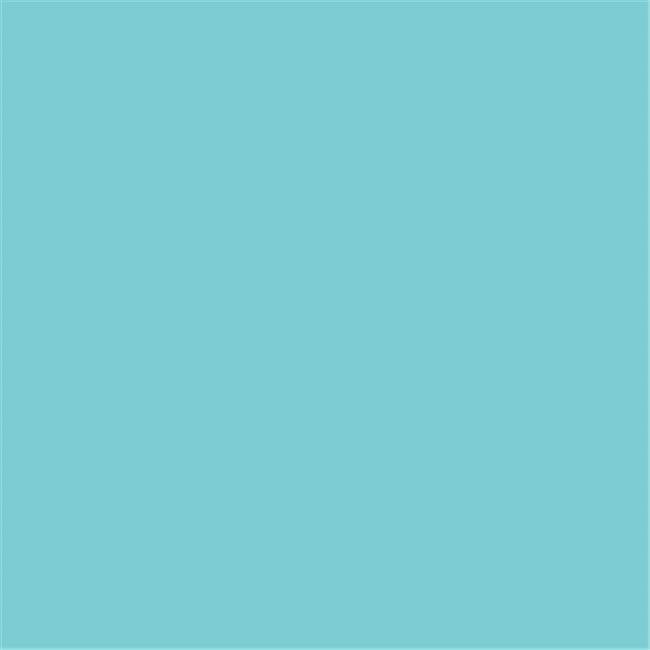 Pacon 1506528 12 x 18 in. Heavyweight Construction Paper, Sky Blue - Pack of 100