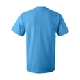 thumbnail image 3 of Fruit of the Loom HD Cotton T-Shirt for Men and for Women Short Sleeve Classic, 3 of 5