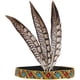 thumbnail image 1 of Diadema de tocado indio para disfraz de nativo americano Plumas indias Disfraz de Halloween Diadema de adulto Diadema de plumas Moda Elegante Diadema de aleta Decoración para el cabello Sincero Electrónica, 1 of 5