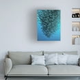 thumbnail image 2 of Henry Jager 'Schooling Jackfishes' Canvas Art, 2 of 4