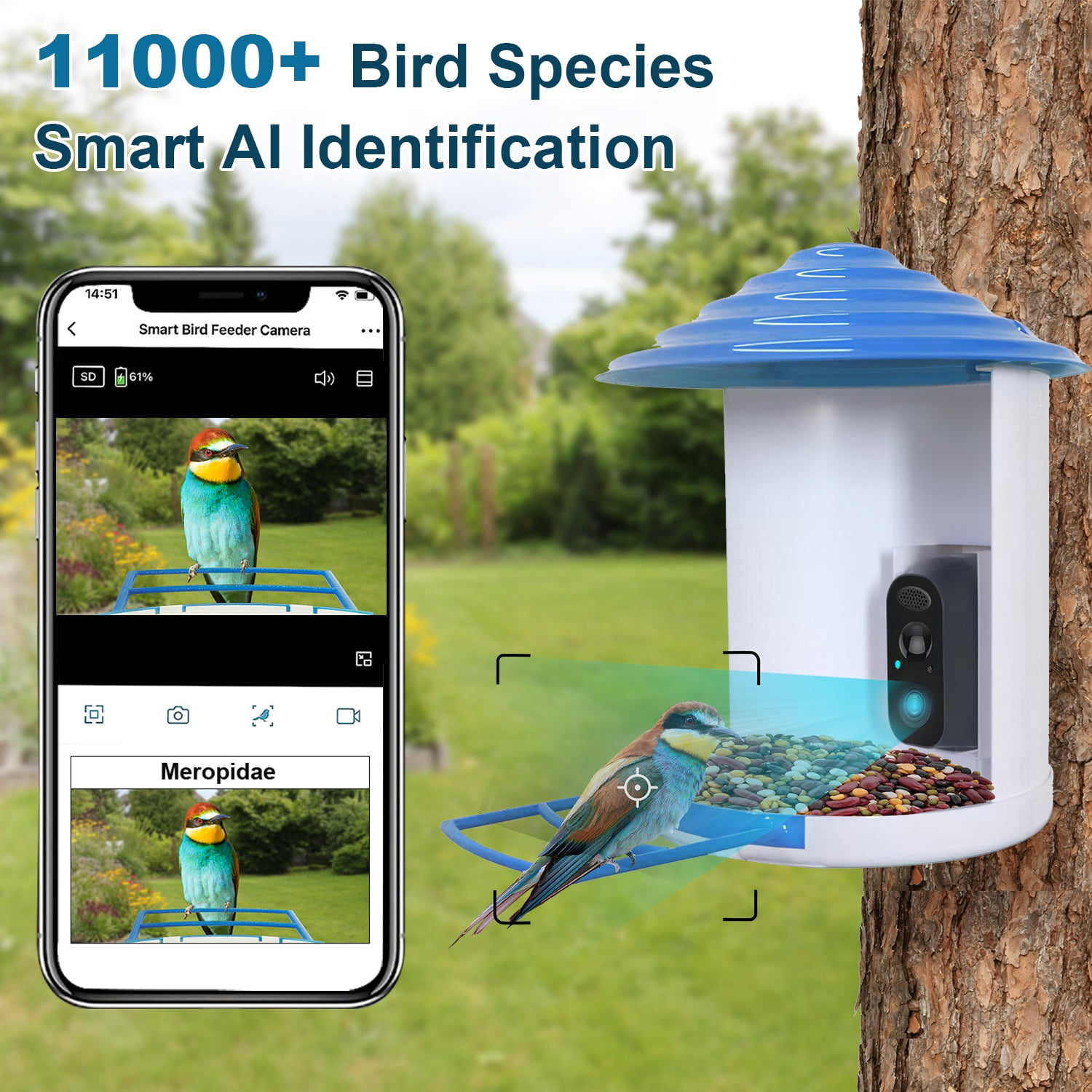 Smart Bird Feeder with Camera Identify 11,000+ Bird Species & 1080P HD Solar-Powered Wireless Outdoor Bird Feeder, App iCam365 & Two-Way Audio for Garden Bird Watching