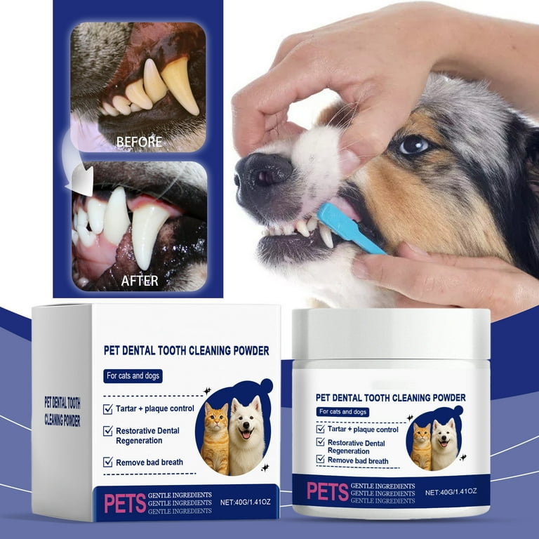 Dog's Teeth My Puppy Has Smelly Breath My Dogs Got Bad Breath