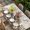Grey Brown Beige, variant on Rabbits Pine Cone Table Cloths for 6 Foot Rectangle Tables, Sweet Home Texture Brown Leaves Berries Patio Waterproof Elastic Fitted Tablecloths, Washable Rectangular Table Cover for Camping
