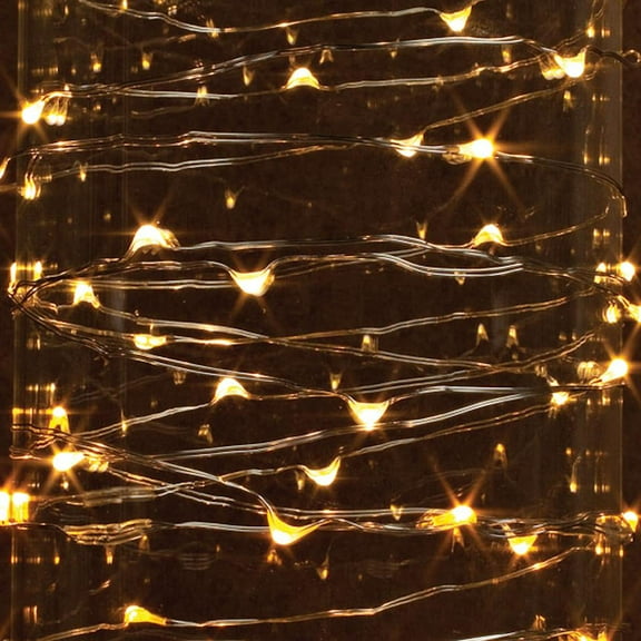 Gerson 38653 - 60 Light 10' Silver Wire Warm White Electric Outdoor LED Micro Miniature Christmas Light String Set with 9' Lead Wire