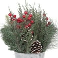 thumbnail image 2 of HOLIDAY TIME PL 15 en métal blanc pot arrangement, 2 of 5